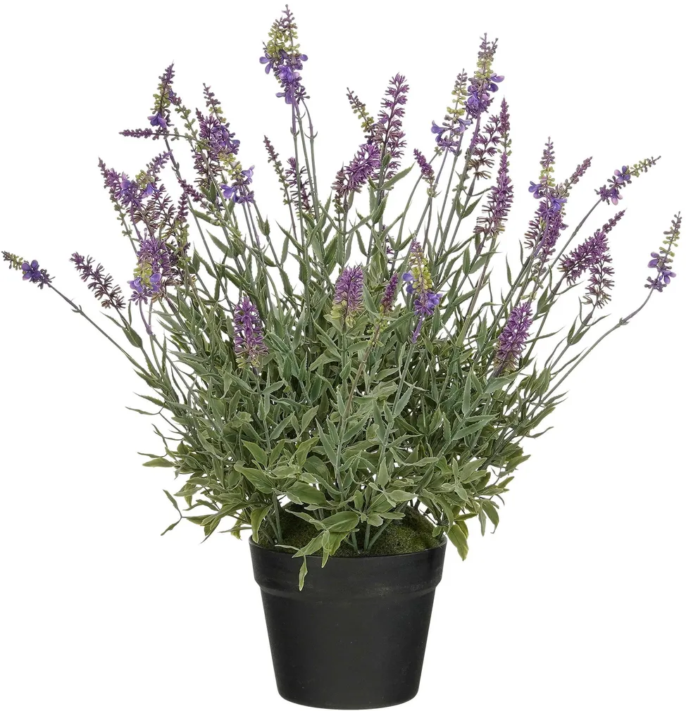 KUNSTLILL MICA DECORATIONS LAVENDEL POTIS 56X55CM LILLA