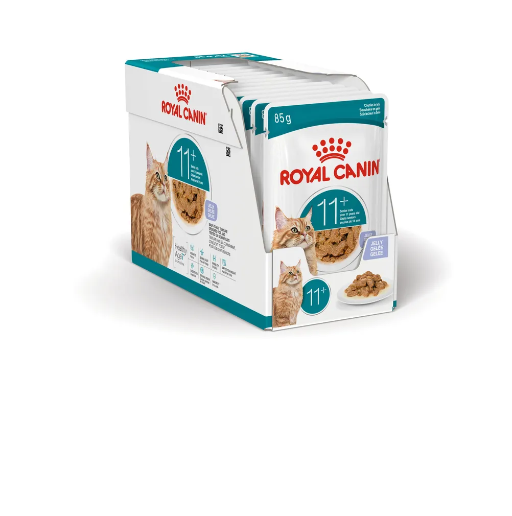 MÄRGTOIT KASSIDELE ROYAL CANIN AGEING 11+, 12X85G