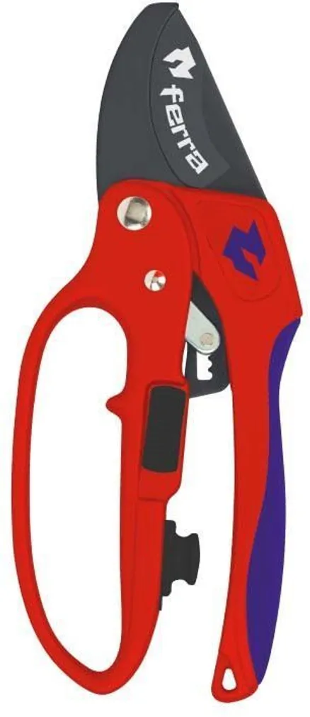 OKSAKÄÄRID FERRA ALASI TÜÜPI, ÜLEKANDEGA