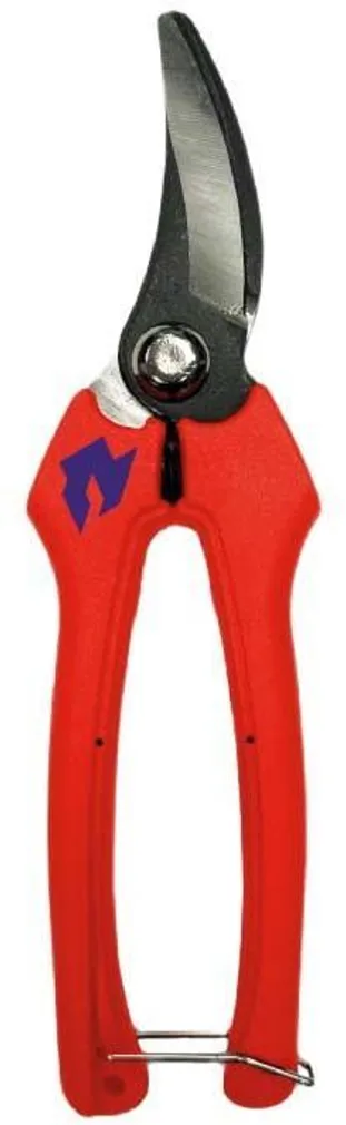 OKSAKÄÄRID FERRA LITE VAHELITI TERADEGA