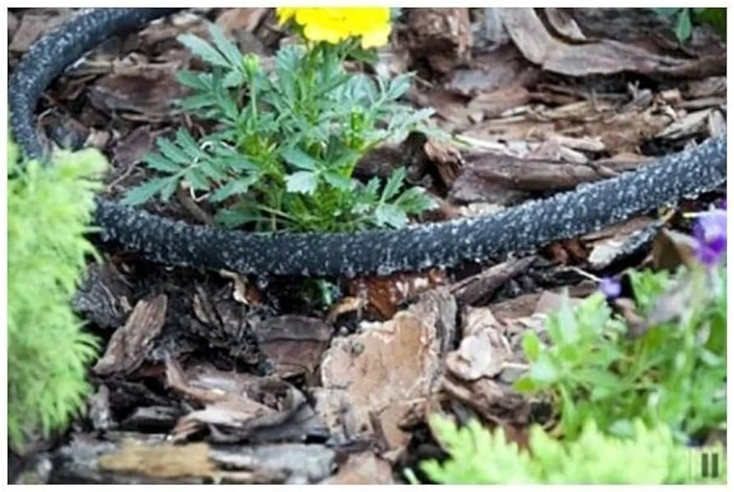 NIISUTUSVOOLIK AQUA DROP 1/2" 15M