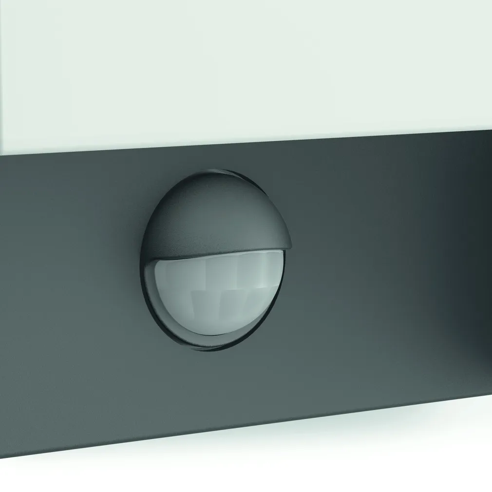 VÄLISVALGUSTI ARBOUR 1X6W IR ANTRATSIIT