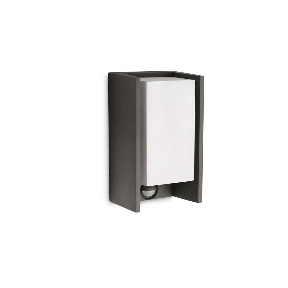 VÄLISVALGUSTI BRIDGE 1X15W 230V ANTRATSIIT