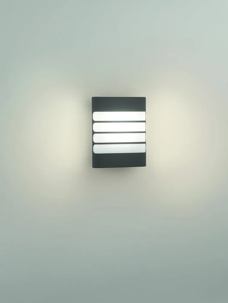 VÄLISVALGUSTI RACCOON 1X3W ANTRATSIIT