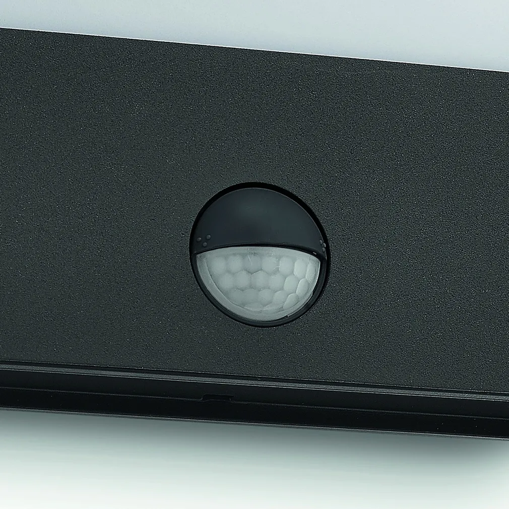 VÄLISVALGUSTI RACCOON 1X3W IR ANTRATSIIT