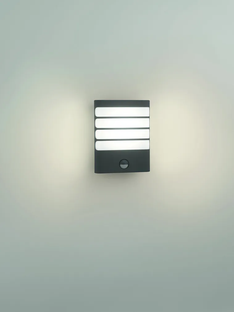 VÄLISVALGUSTI RACCOON 1X3W IR ANTRATSIIT