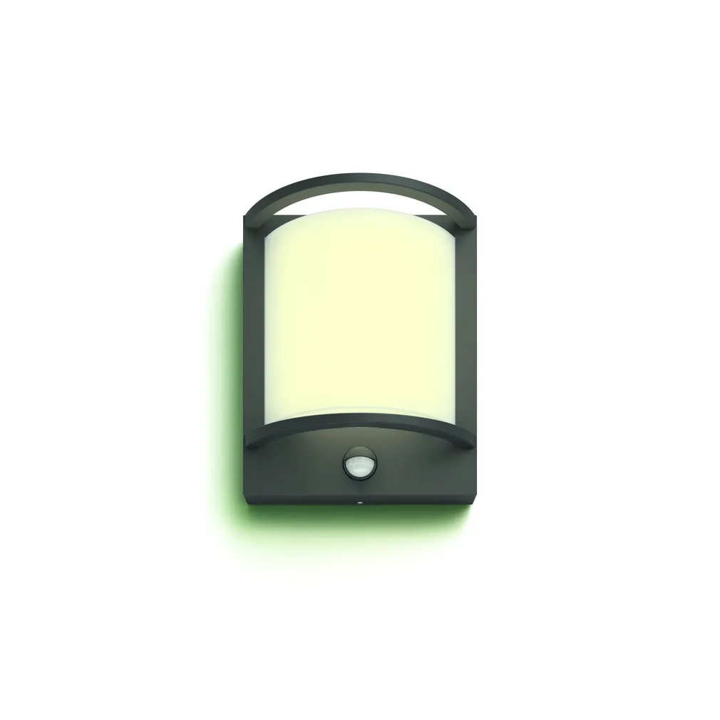 VÄLISVALGUSTI SAMONDRA 1X12W IR ANTRATSIIT