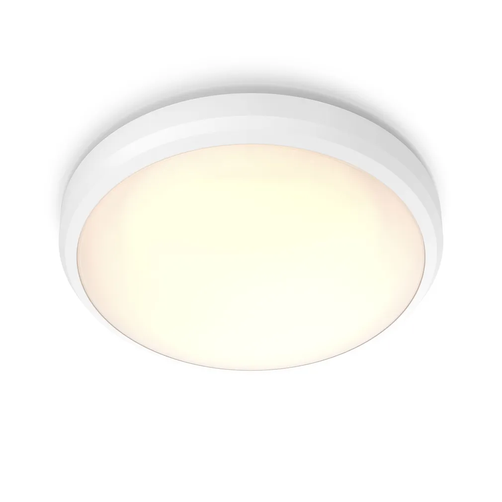 VÄLISVALGUSTI DORIS CEILING 6W 2700K IP54 VALGE