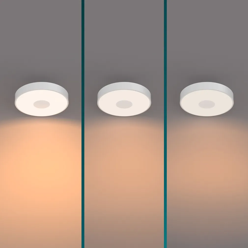 PLAFOON COINER SS 24W 2700K VALGE