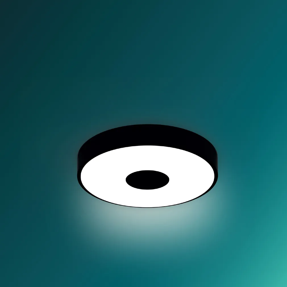 PLAFOON COINER SS 24W 2700K MUST