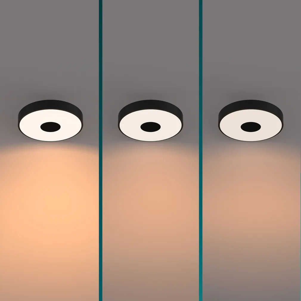 PLAFOON COINER SS 24W 2700K MUST