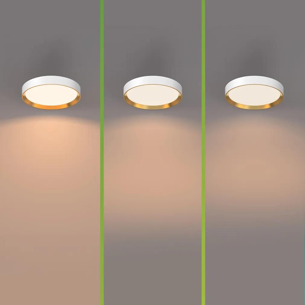 PLAFOON HANNO SS 24W 2700K KULDNE-VALGE