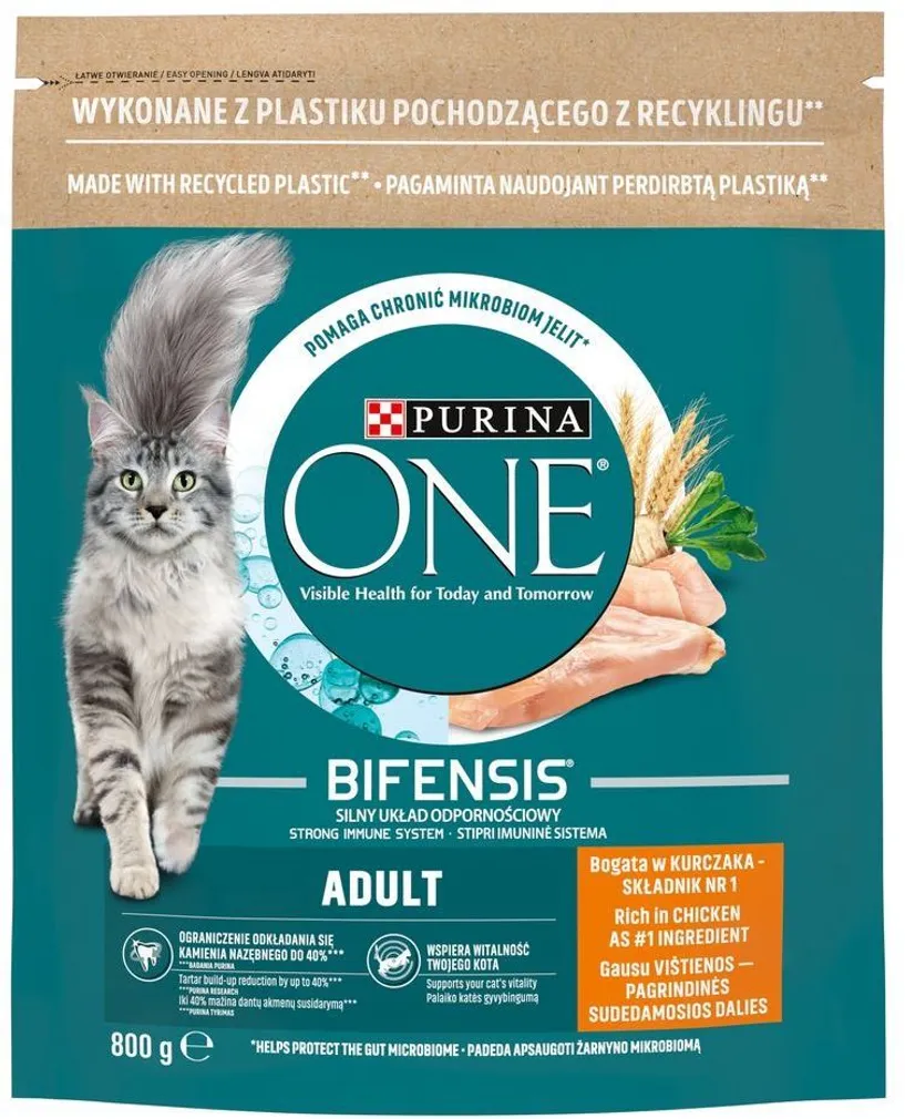 KUIVTOIT KASSIDELE PURINA ONE ADULT KANA 800G