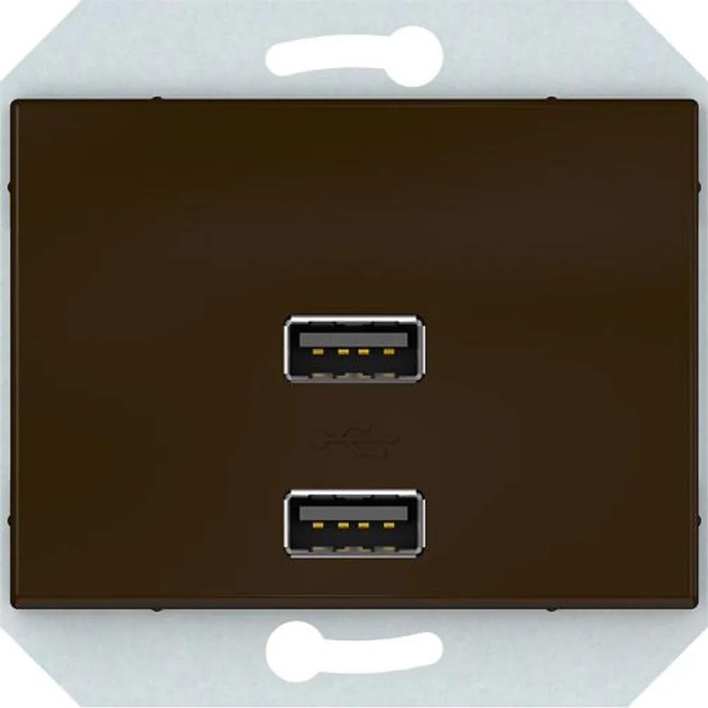 USB PESA VILMA XP500 RAAMITA 2XUSB 3,4 А PRUUN