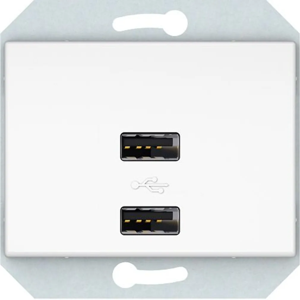 USB PESA VILMA XP500 RAAMITA 2XUSB 3,4 А VALGE