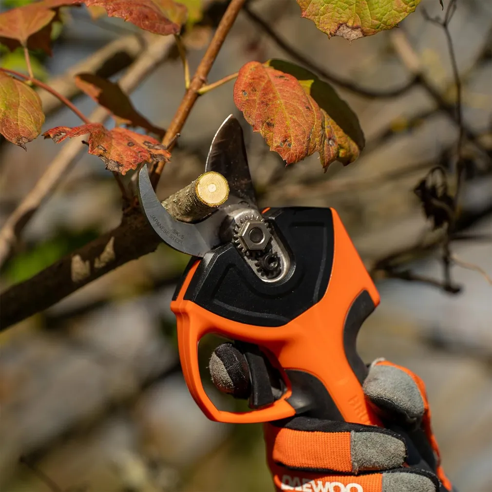 AKUOKSAKÄÄRID DAEWOO DAGP 3216LI SET 1X3,0AH