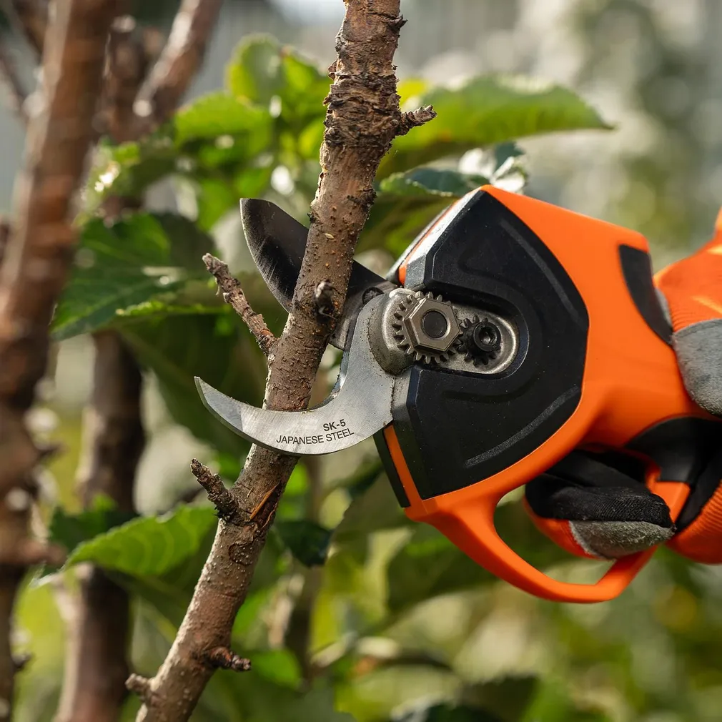 AKUOKSAKÄÄRID DAEWOO DAGP 3216LI SET 1X3,0AH