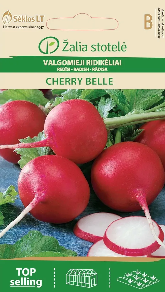 REDIS CHERRY BELLE