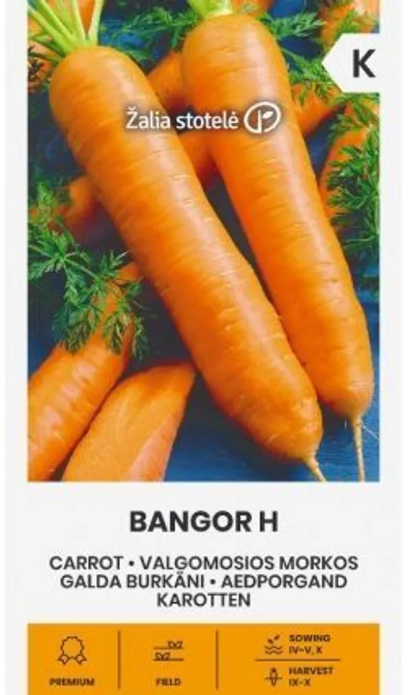 PORGAND BANGOR H