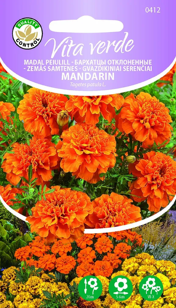 MADAL PEIULILL MANDARIN