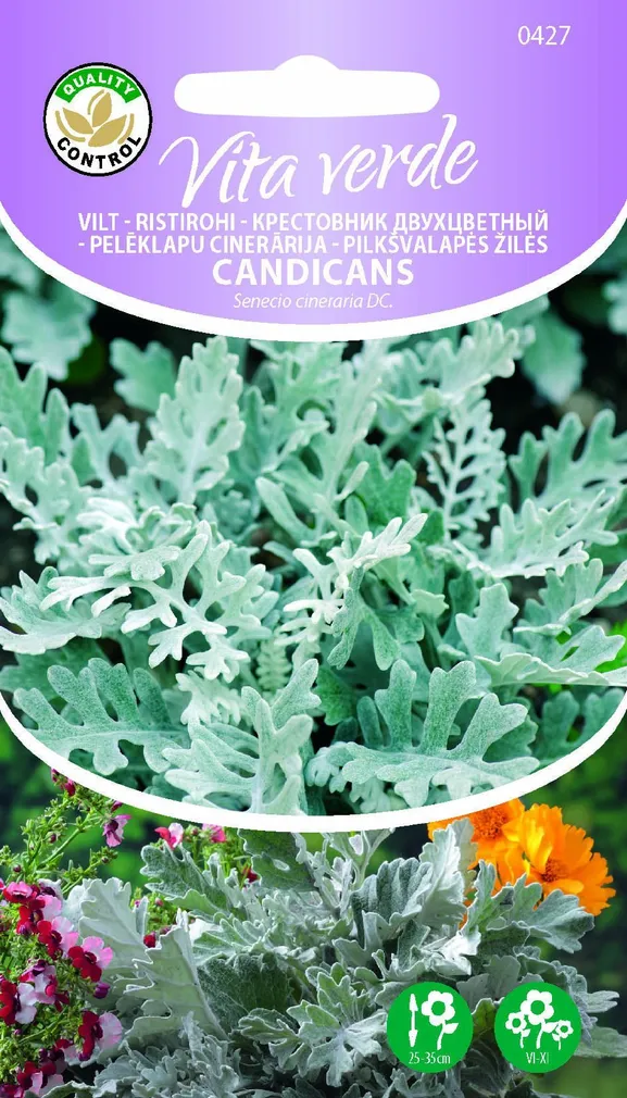 VILT - RISTIROHI CANDICANS