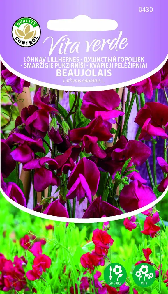 LÕHNAV LILLHERNES BEAUJOLAIS LATHYRUS ODORATUS L.