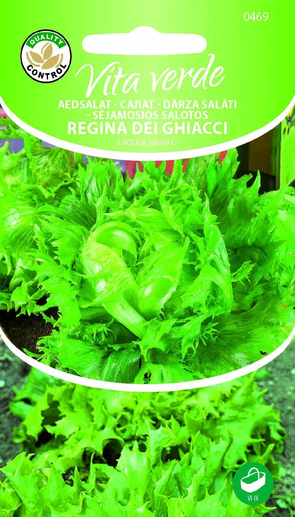JÄÄSALAT REGINA DEI GHIACCI