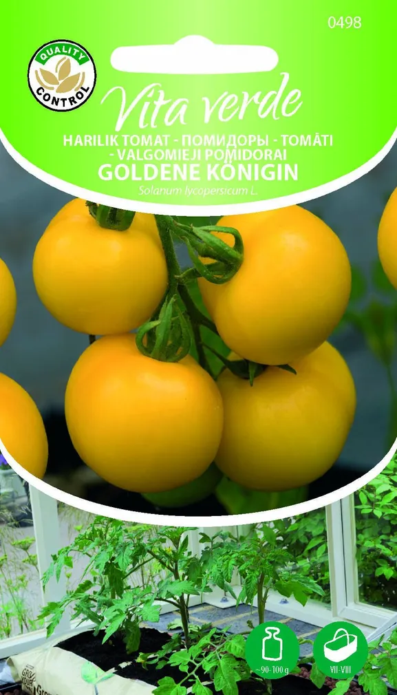 TOMAT GOLDENE KÖNIGIN