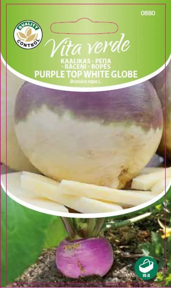 KAALIKAS PURPLE TOP WHITE GLOBE