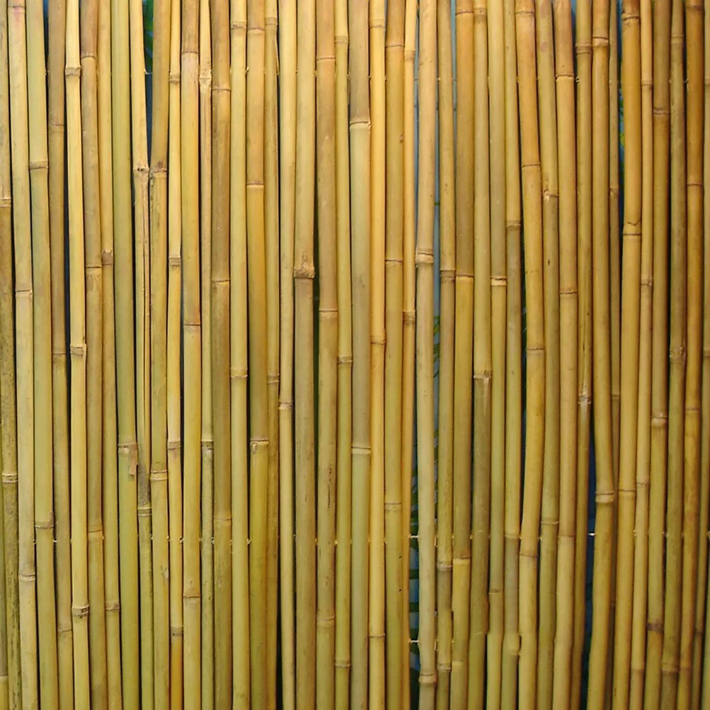 RULL BAMBUSAED IN GARDEN 1.5X3M, D14/16MM