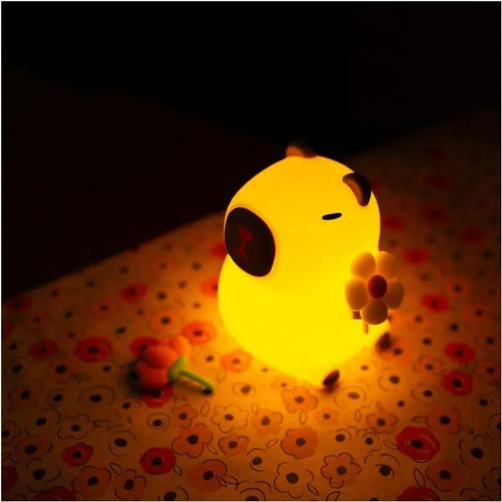 LED ÖÖLAMP ECOLIGHT MARY'S KAPIBAARA LILLEGA RGB