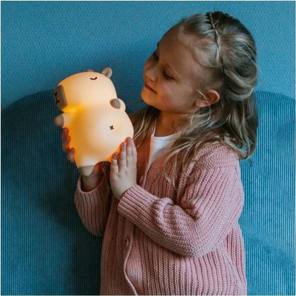 LED ÖÖLAMP ECOLIGHT MARY'S HINGAV KAPIBAARA