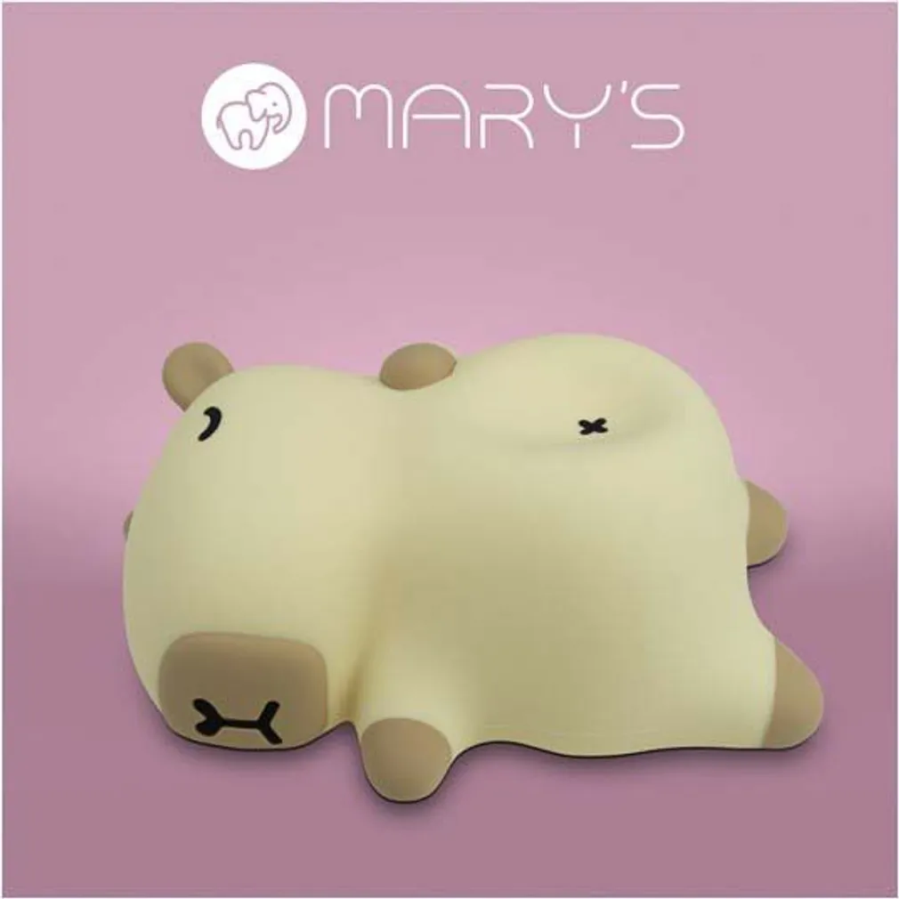LED ÖÖLAMP ECOLIGHT MARY'S HINGAV KAPIBAARA