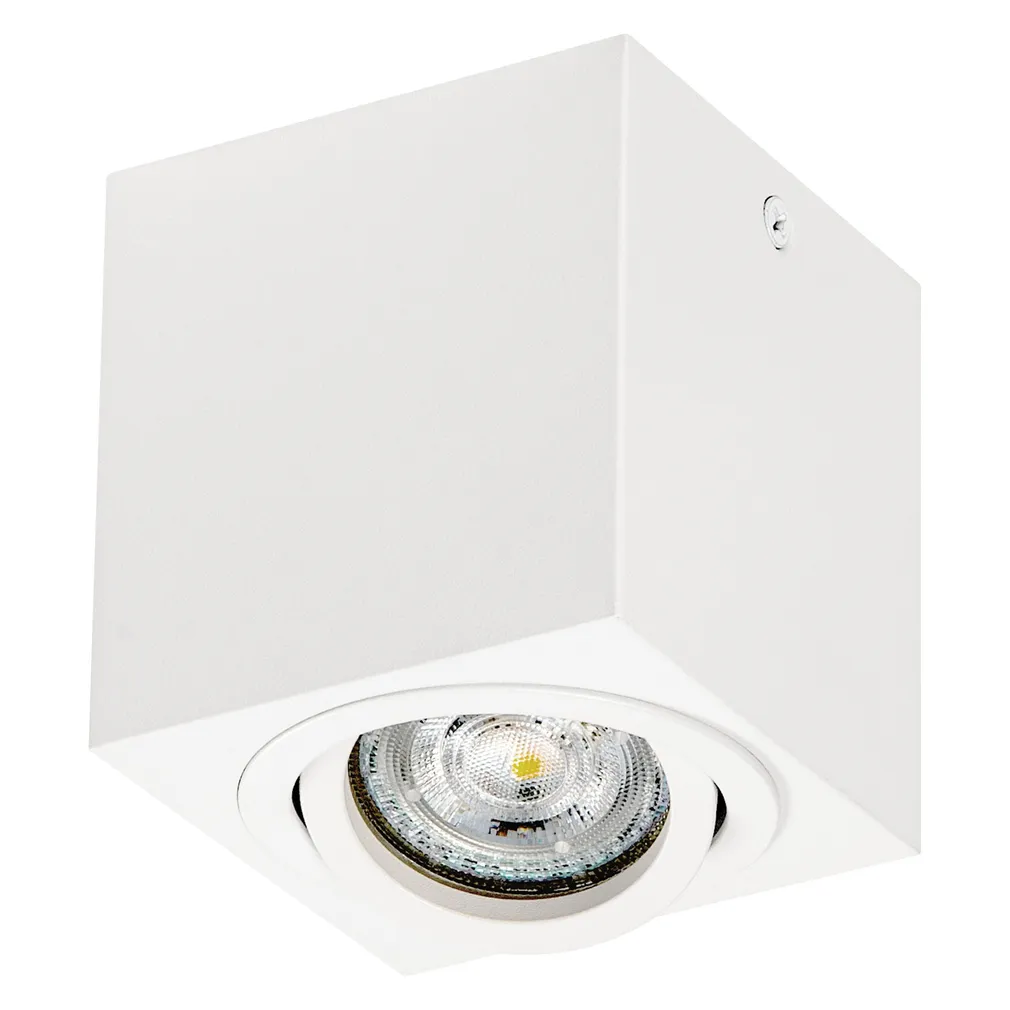 KOHTVALGUSTI LED SÜVISTATAV SURFACE KANDILINE GU10 VALGE