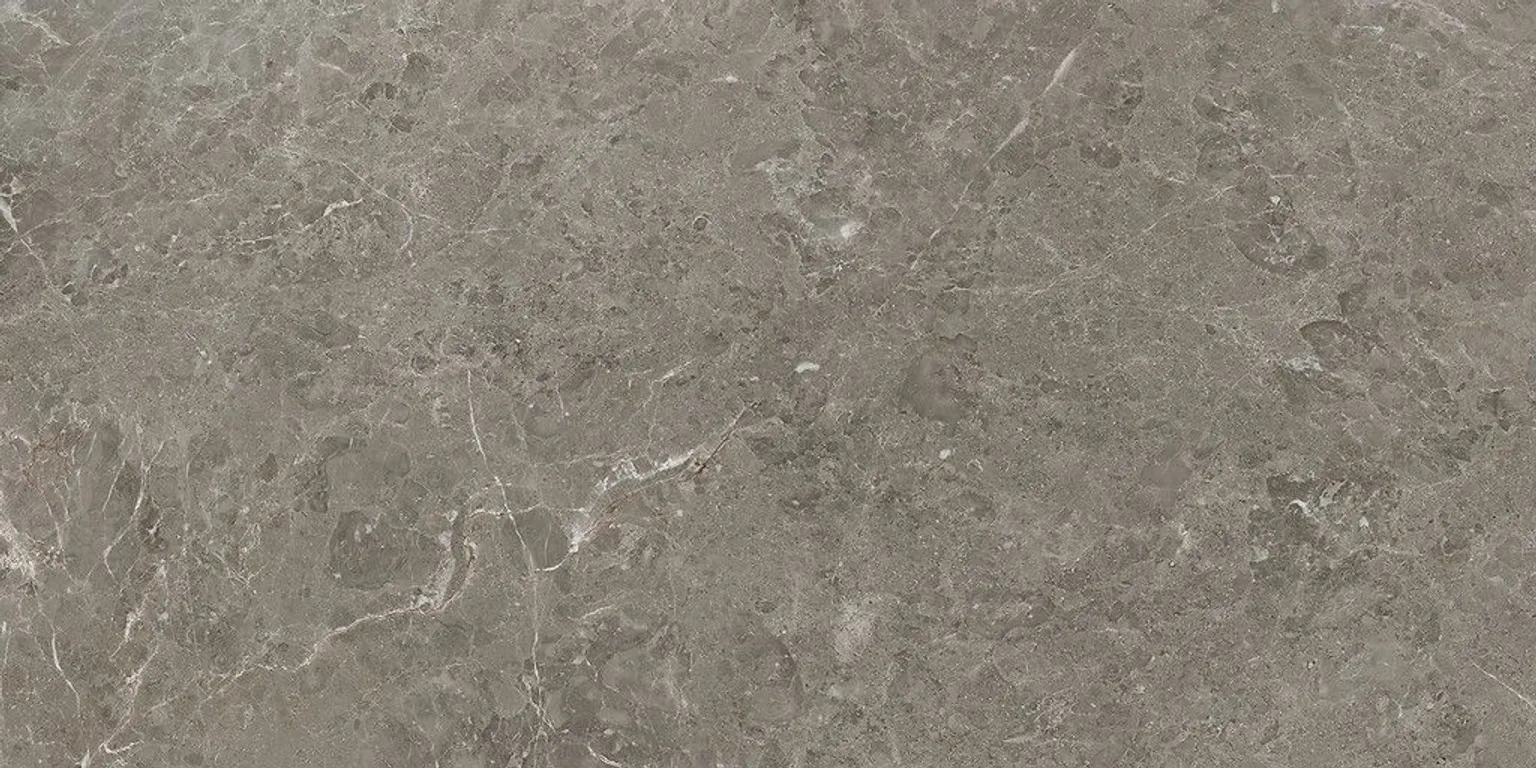 PÕRANDA-JA SEINAPLAAT CERSANIT DELIA TAUPE MATT 59,8X119,8CM 1,43M² PAKIS