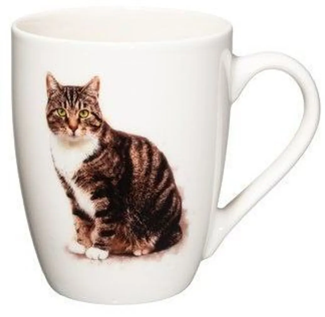 KRUUS 4LIVING 340ML MAINE COON