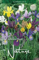 LILLESIBUL IIRIS MIXED 10TK PAKIS