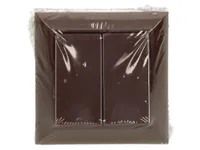 LÜLITI 2-NE PRUUN 10A 250V PIND.