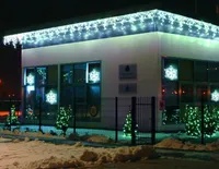 VALGUSKARDIN JÄÄPURIKAKUJULINE ARTUS PRO 180LED 3,9M KÜLM VALGE JÄTKATAV