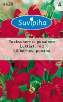 LILLESEEMNED SUVIPIHA LILLHERNES PUNANE 