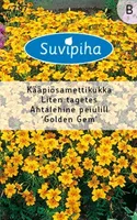 LILLESEEMNED SUVIPIHA PEIULILL AHTALEHINE GOLDEN GEM 