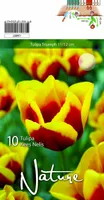 LILLESIBUL TULP TRIUMPH KEES NELIS 10TK PAKIS