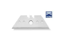 TRAPETSTERA AKNAKRAABITALSE 60MM 10TK PAKIS