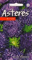 SEEMNED KURZEMES SEKLAS ASTER "BLUE RIBBON"