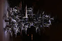 VALGUSKARDIN JÄÄPURIKAKUJULINE 100LED 5M KÜLM VALGE, MUST KAABEL, JÄTKATAV