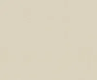 TAPEET DELIGHT P+S 03882-60 10,05X0,53M