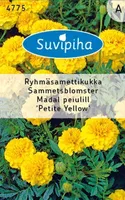 LILLESEEMNED SUVIPIHA PEIULILL MADAL PETITE YELLOW 