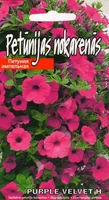 SEEMNED KURZEMES SEKLAS PETUUNIA PURPLE VELVET F1 15 S