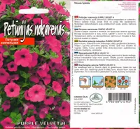 SEEMNED KURZEMES SEKLAS PETUUNIA PURPLE VELVET F1 15 S