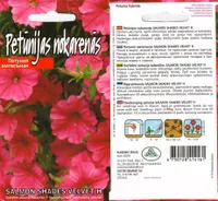 SEEMNED KURZEMES SEKLAS PETUUNIA SALMON SHADES VELVET F1 15 S